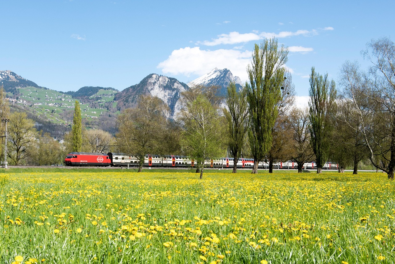 spring-1420501_1280
